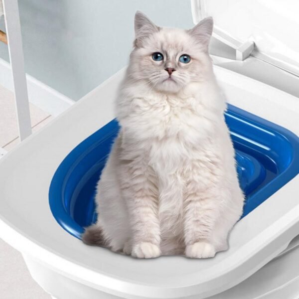 Kit de Formation Universel pour Chats – Image 7
