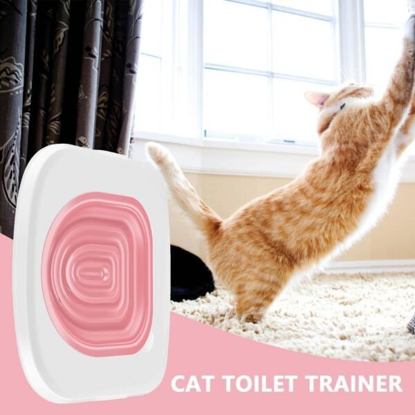 Kit de Formation Universel pour Chats – Image 8