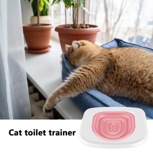 Kit de Formation Universel pour Chats – Image 5