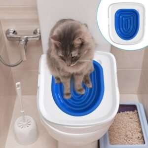 Kit de Formation Universel pour Chats