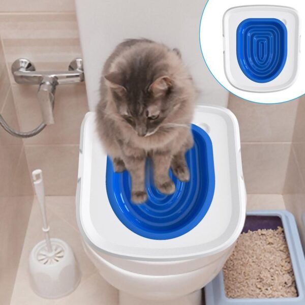 Kit de Formation Universel pour Chats